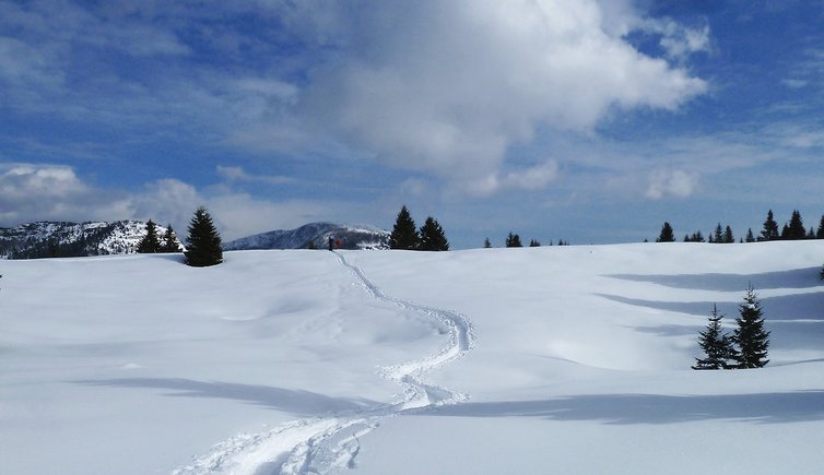 Alpe Cimbra - Folgaria Lavarone Luserna Vigolana