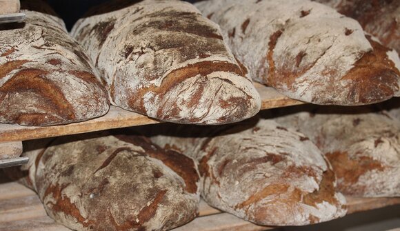 Brotbacken im alten Steinbackofen