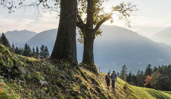 Herbstwanderung zum Schloss Juval