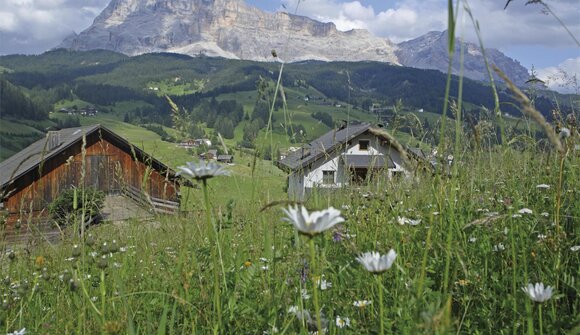 Wanderung "Jaufenpass - Fleckner"