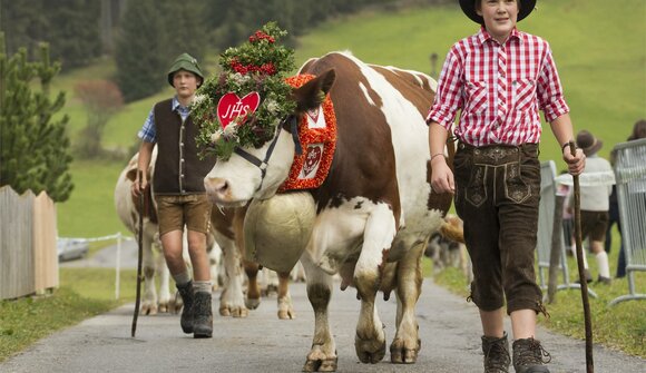 Obotola Kirchtag und Almabtrieb