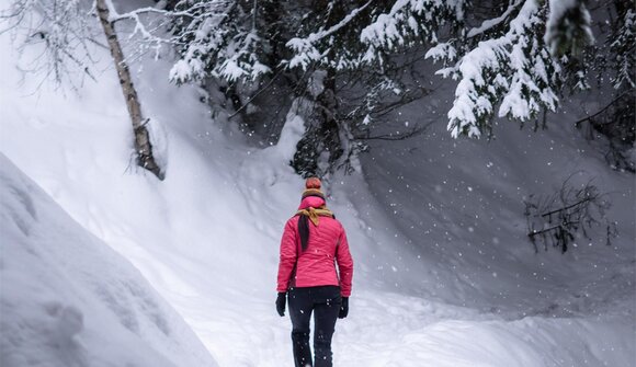 Schneeschuhtour mit dem Bergführer