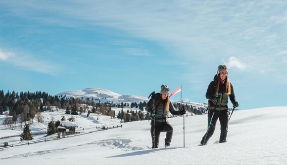 Guided winter hike in Rodeneck