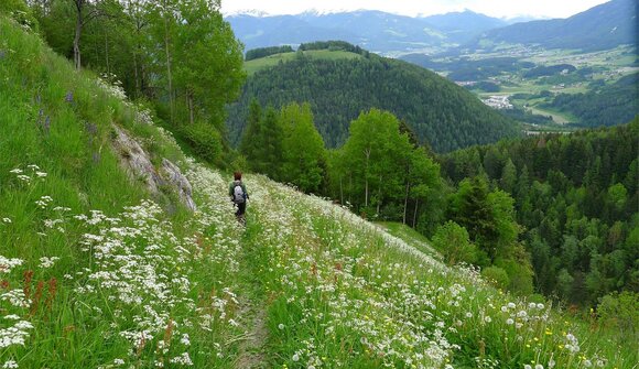 Guided sustainable hike