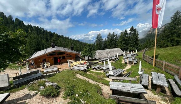 Guided alpine pasture hike