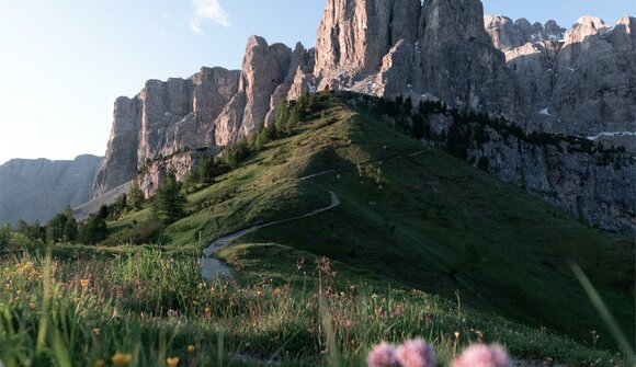 Via Sas Ciampac to the Edelweiss Valley