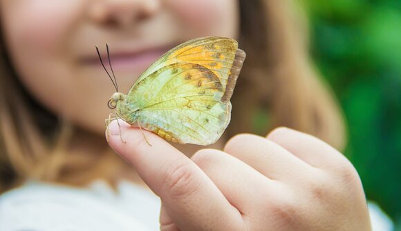 Laboratorio Natura di Daksy Casere