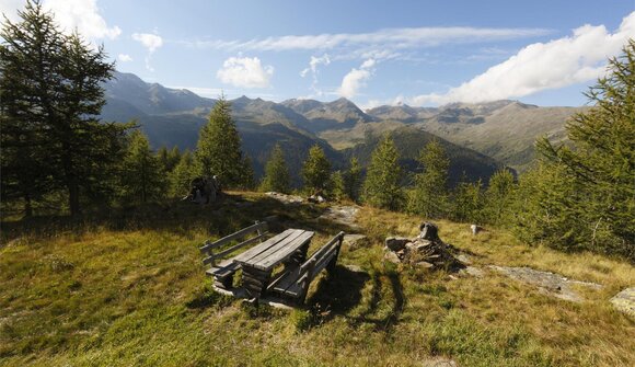 Guided hiking tour: Spitzneralm