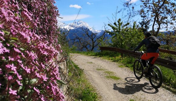 E-Bike Tour mit Kellerbesichtigung