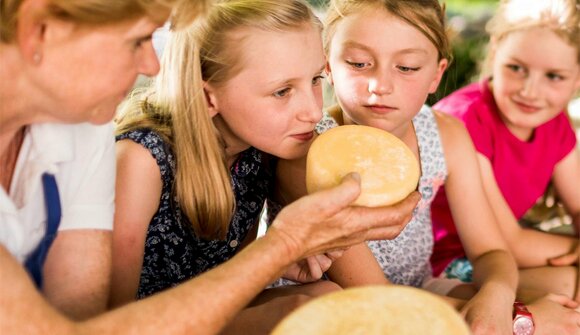 Cheese tasting