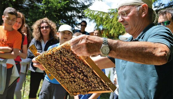 Familienwanderung zum Bienenhaus