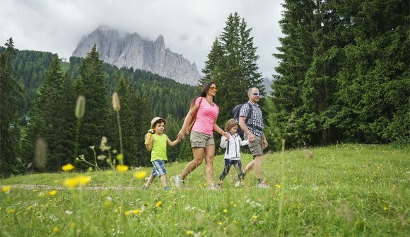 Forest adventure for the whole family