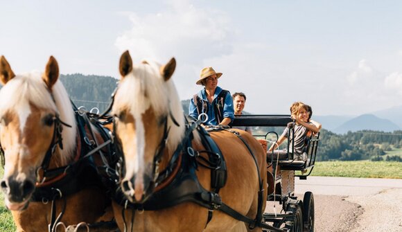 Carriage afternoon