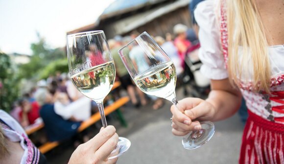 Weinbergführung mit Verkostung