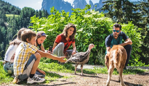 Family hike to a mountain farm