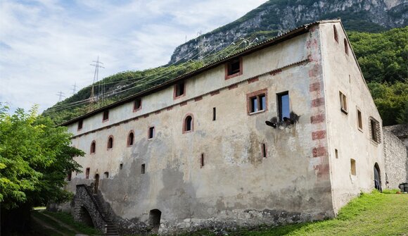 Giornata del romanico