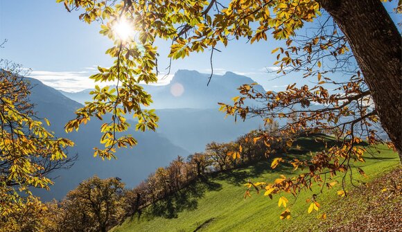 Festa autunnale di Barbiano