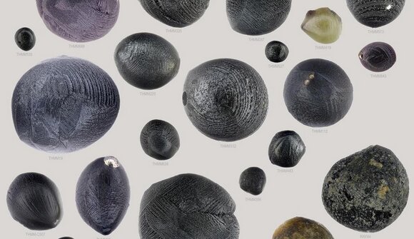 Nature under the microscope: meteorites