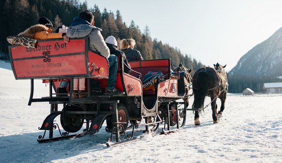 Horse-drawn carriage rides