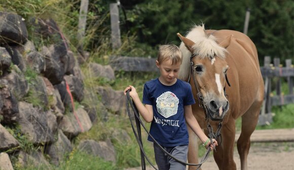 Horseshoe: The Luck of Horses