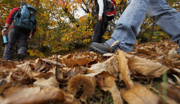 Herbstwanderung: Tisner Mittelgebirge