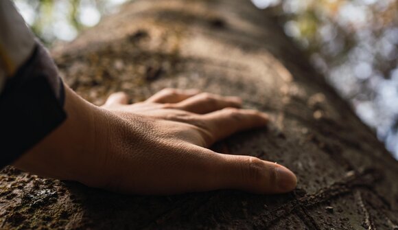 Caccia al tesoro - forest bathing