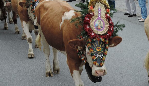 Almabtrieb und Oktoberfest