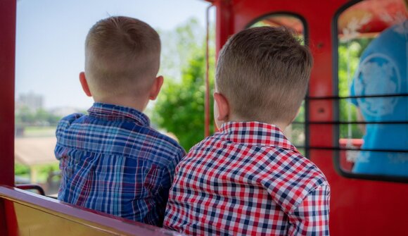 Trenino: i masi di Andalo