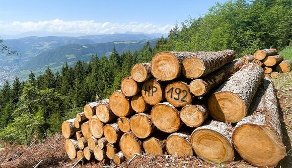 Piattaforma biodiversità Alto Adige