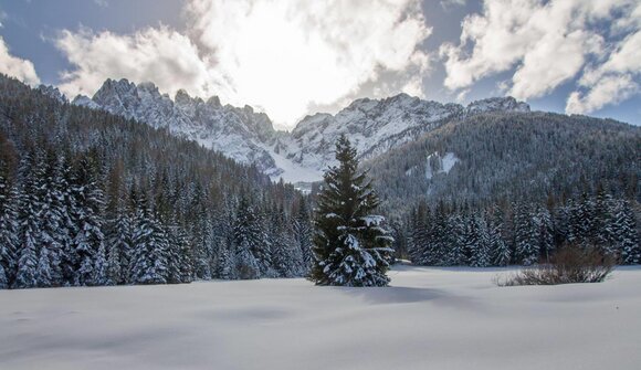 Snowshoe hike