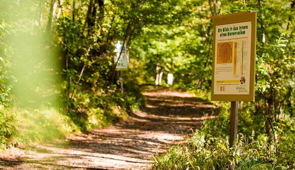 Hiking tour for families