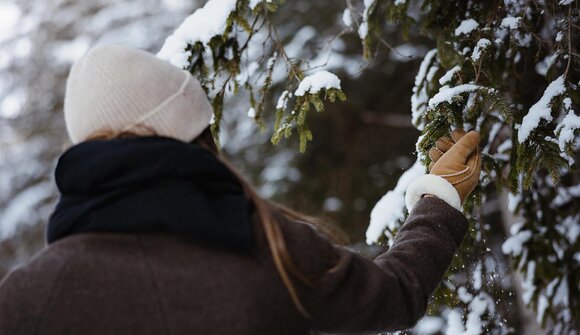 Discovering plants and well-being