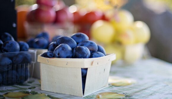 Alla scoperta di erbe e frutti segreti