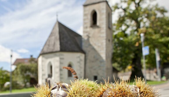 Guided hike: traditional "Törggelen"