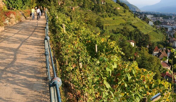 Merano Wine Promenade