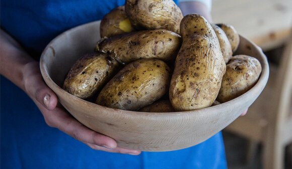 Potato weeks - Starkenfeldhütte