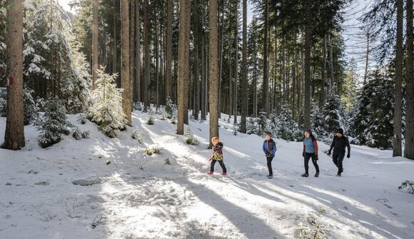 Winterwanderung in Weißenbach