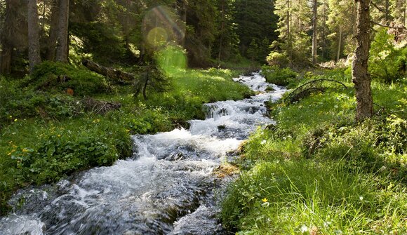 Excursion on the Adolf-Munkel-trail