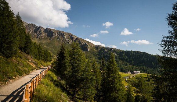 Hiking tour: Klammeben - Pfandlerhof