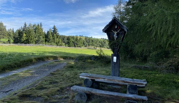 Kräuter und Geschichten der Lüsner Berge