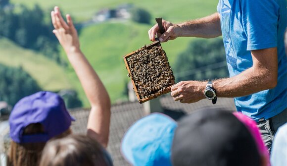 Fleißige Bienen und die Feuerwehr