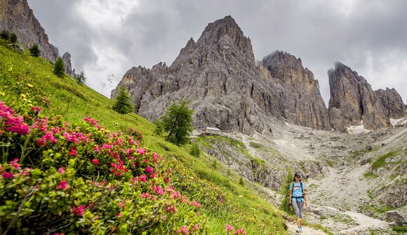 From Monte Pana to the Vincenza hut