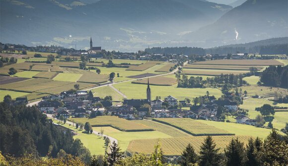 Am Pfalzner Sonnenplateau