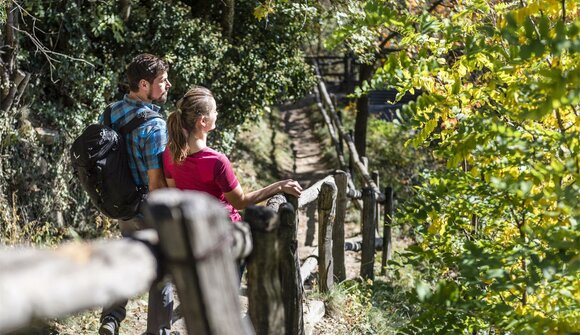 Wanderung am Westhang des Eisacktales