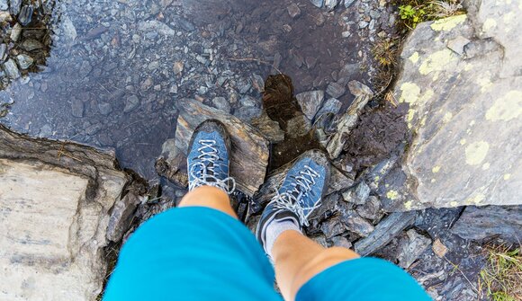 Guided hike on the Salten plateau