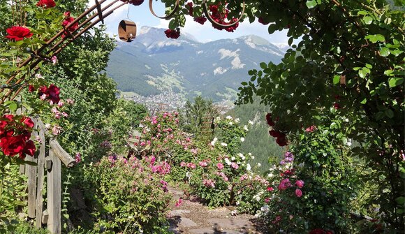 Gli antichi mulini e roseto di Bulla