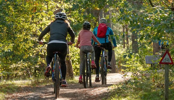 Escursione MTB Compet-Panarotta-Levico