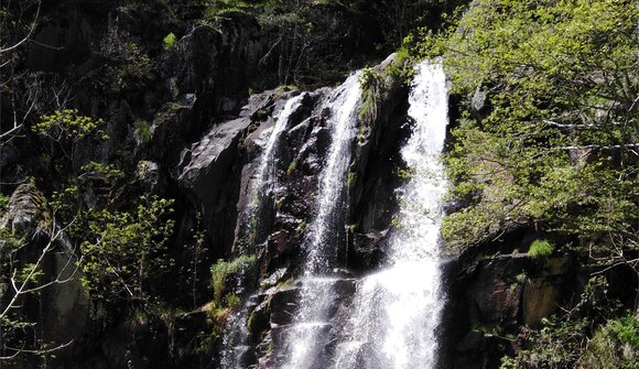 Escursione guidata "Alla cascata"