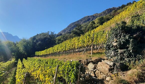 Castelbello-Ciardes