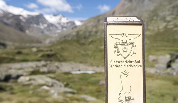 Experience the glacier nature trail